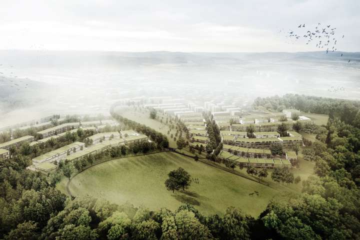 Ried Master Plan, Niederwangen